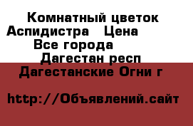 Комнатный цветок Аспидистра › Цена ­ 150 - Все города  »    . Дагестан респ.,Дагестанские Огни г.